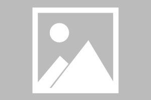  沙尔克04降级后启动重建计划  